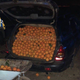 Illustration for article titled Spanish Orange Thieves Finally Prove How Many Oranges You Can Cram Into A Car